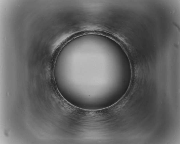 X0000102221311200808011153