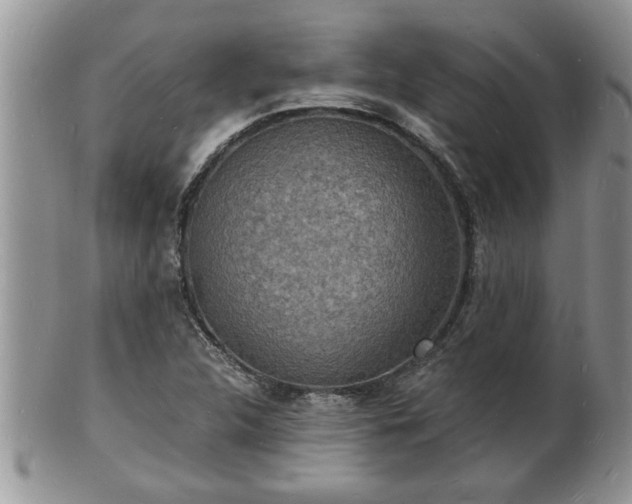 X0000102221312200808011153