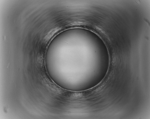 X0000102221313200808011153