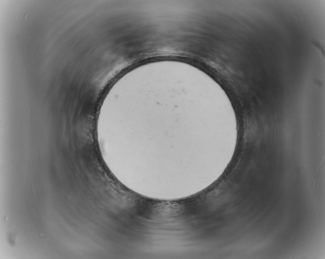 X0000102221314200808011153