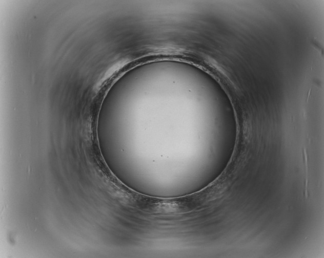 X0000102221315200808011153