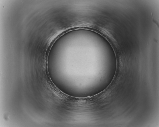 X0000102221316200808011153