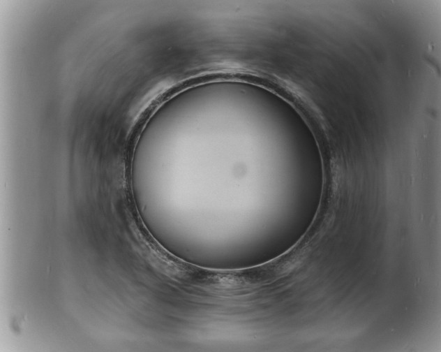 X0000102221318200808011153