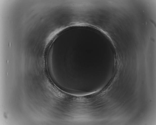 X0000102221319200808011153