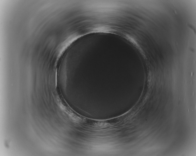 X0000102221323200808011153