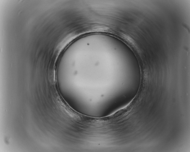 X0000102221324200808011153