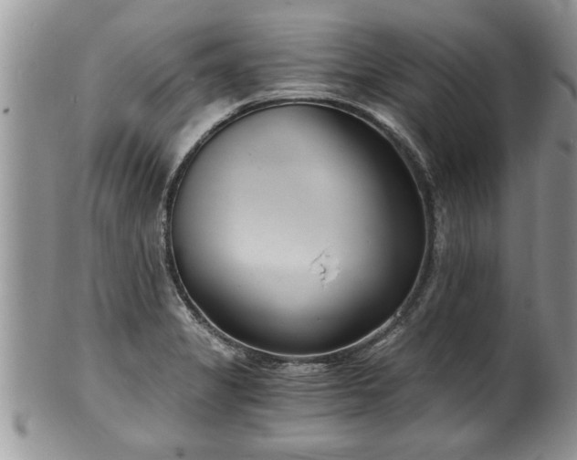 X0000102221325200808011153