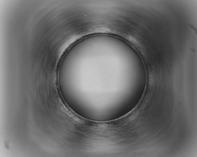 X0000102221326200808011153