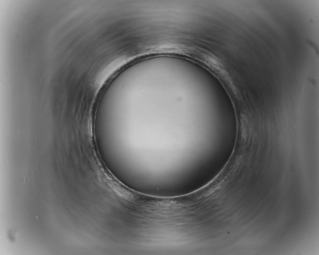 X0000102221328200808011153