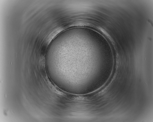 X0000102221329200808011153