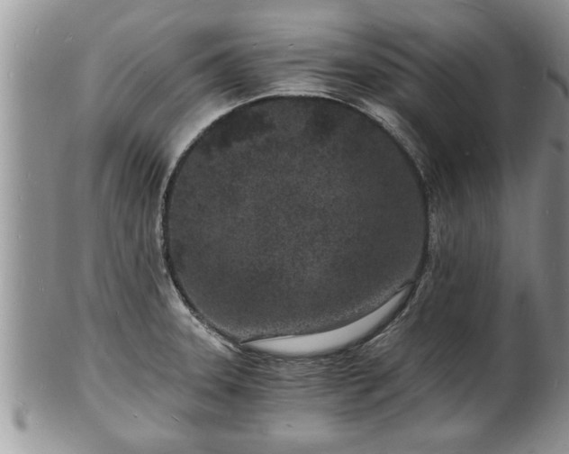 X0000102221331200808011153