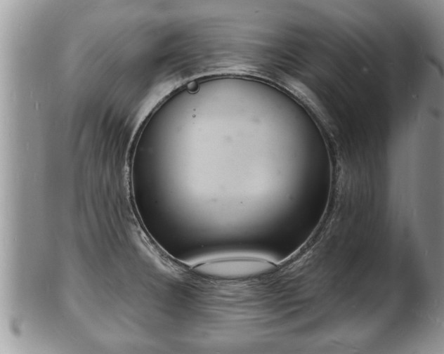 X0000102221332200808011153