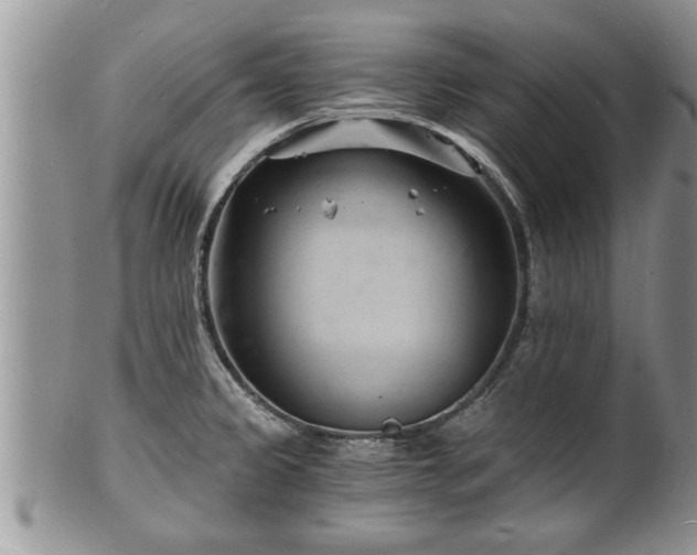 X0000102221333200808011153