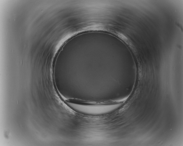 X0000102221334200808011153