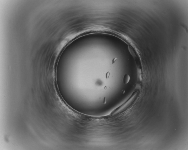 X0000102221335200808011153