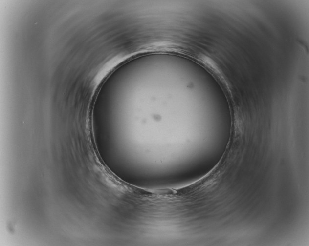 X0000102221336200808011153