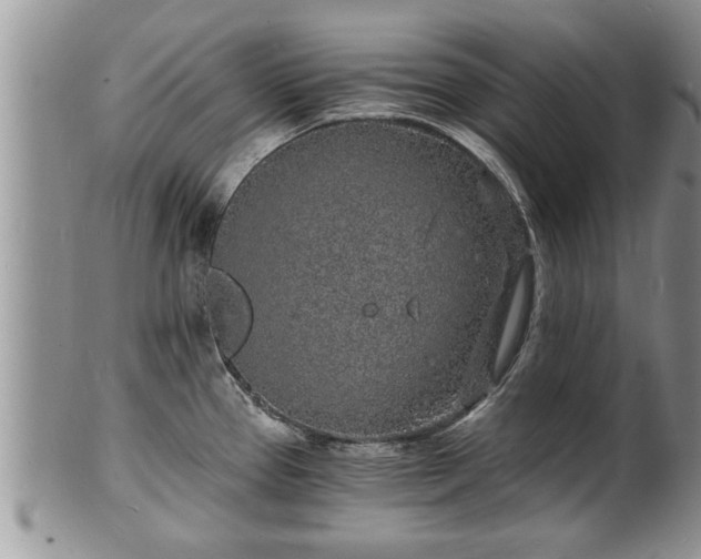 X0000102221337200808011153