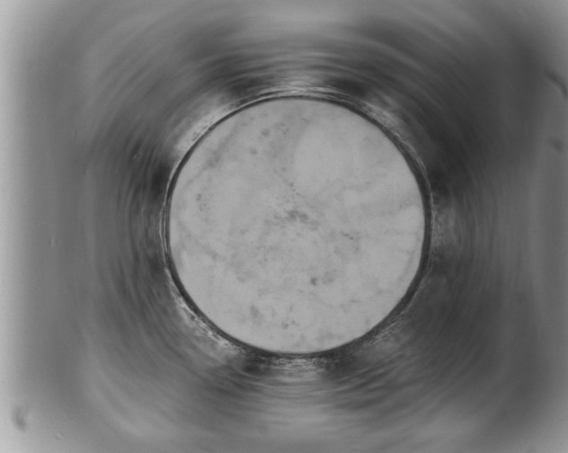 X0000102221338200808011153