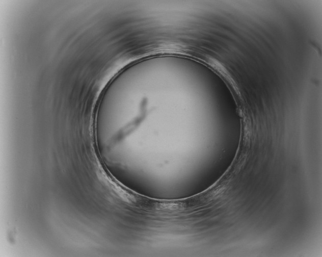 X0000102221339200808011153