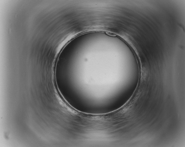 X0000102221341200808011153