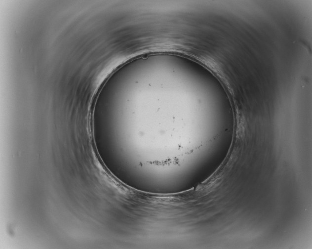 X0000102221342200808011153