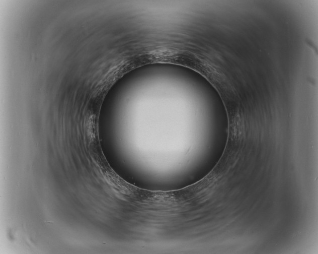 X0000102221346200808011153