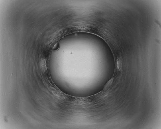 X0000102221347200808011153