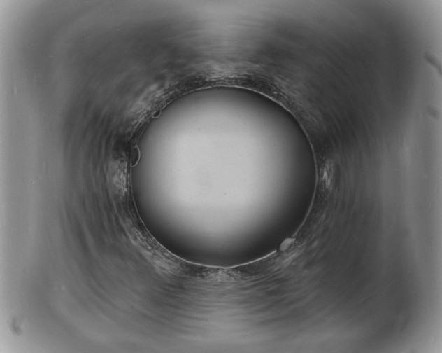 X0000102221348200808011153