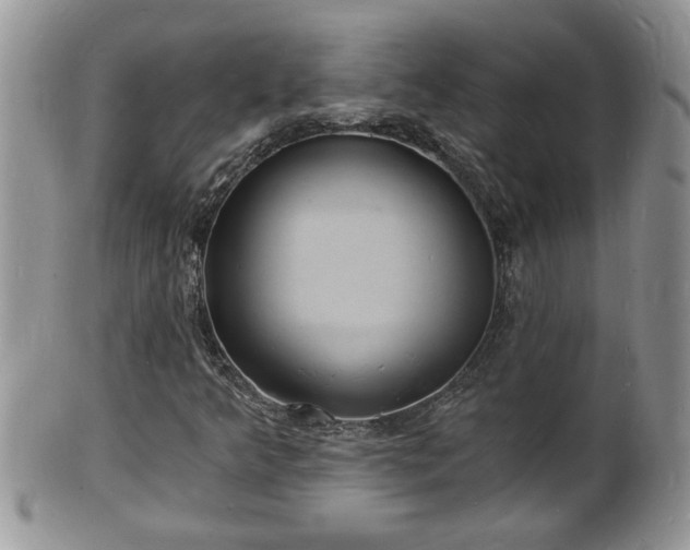 X0000102221349200808011153