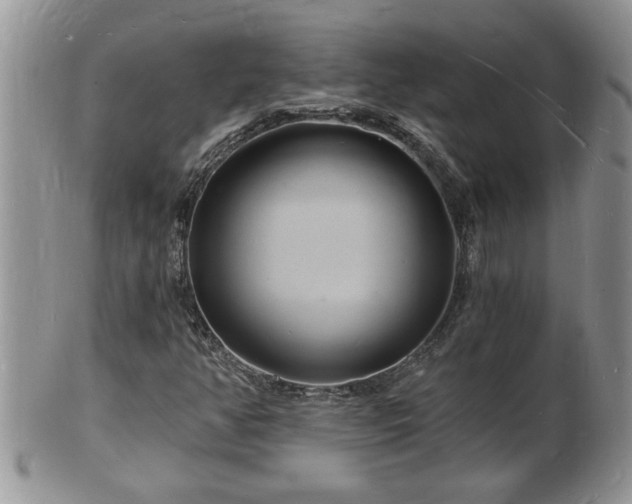 X0000102221350200808011153