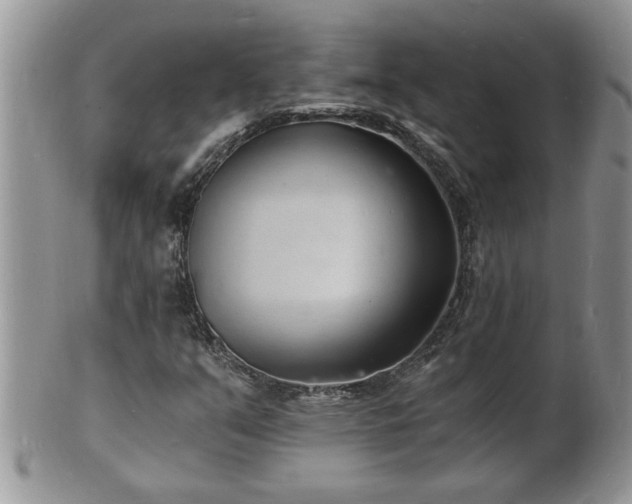 X0000102221351200808011153