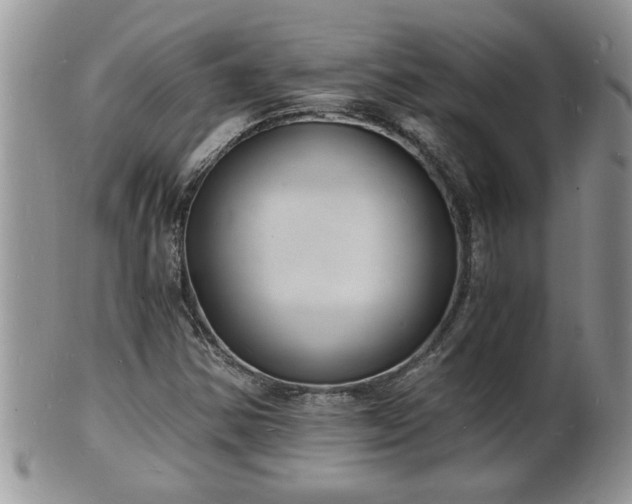 X0000102221354200808011152