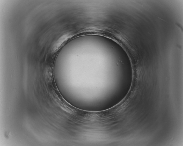 X0000102221355200808011152