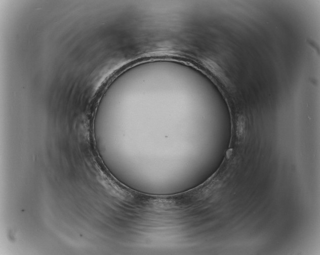 X0000102221356200808011152