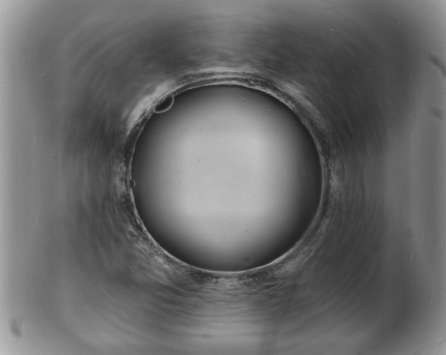 X0000102221357200808011152