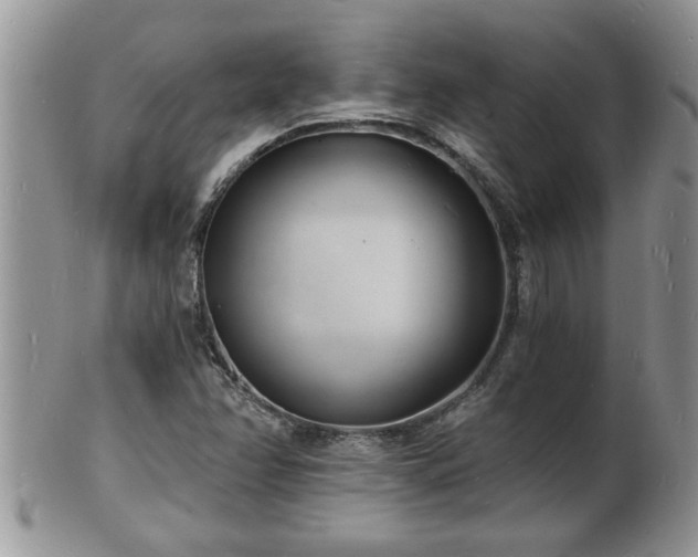 X0000102221358200808011152