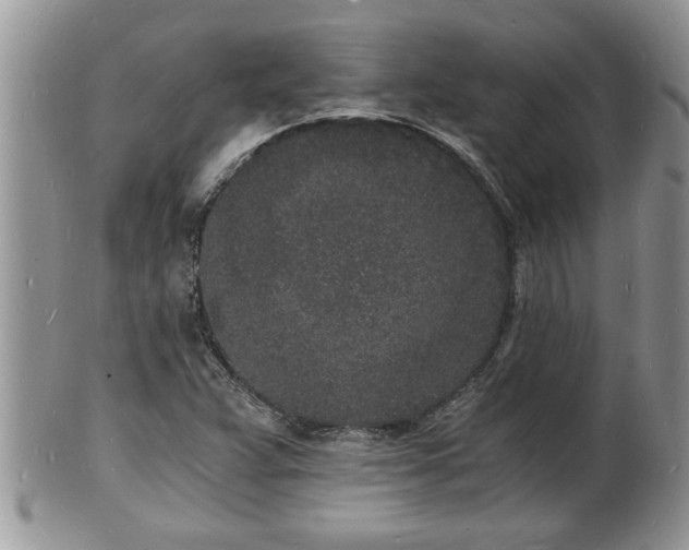 X0000102221359200808011152