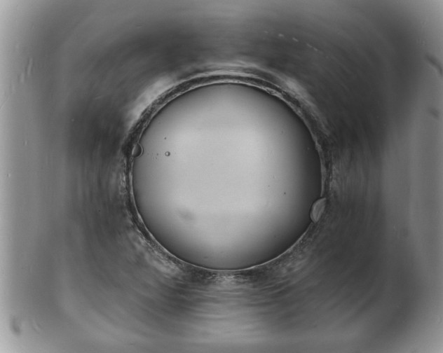 X0000102221360200808011152