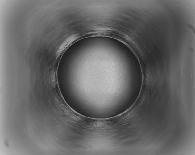 X0000102221362200808011152