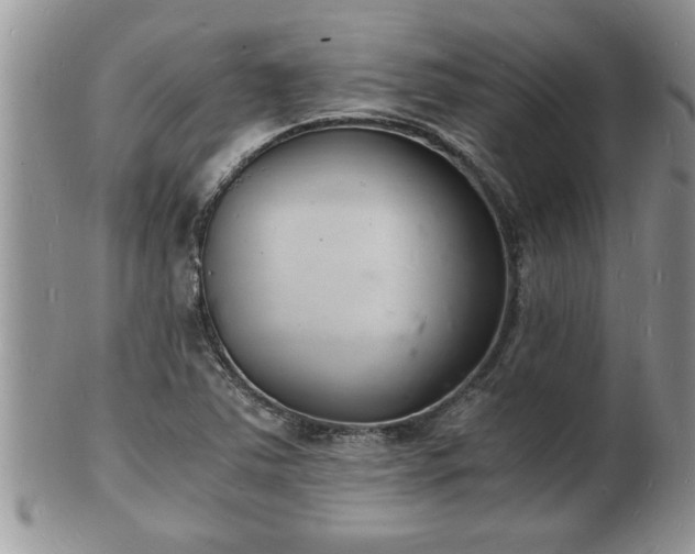 X0000102221363200808011152