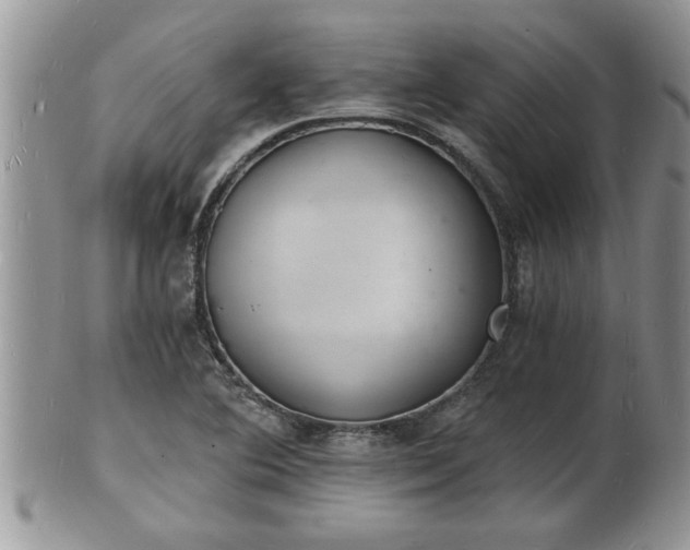 X0000102221364200808011152