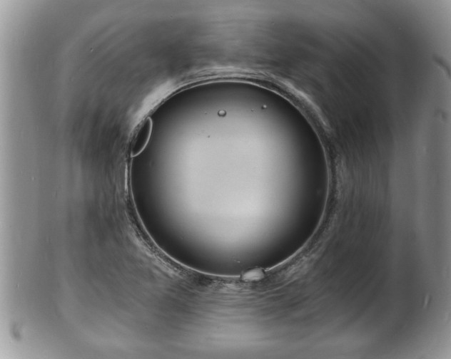 X0000102221365200808011152