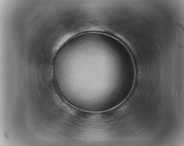 X0000102221367200808011152