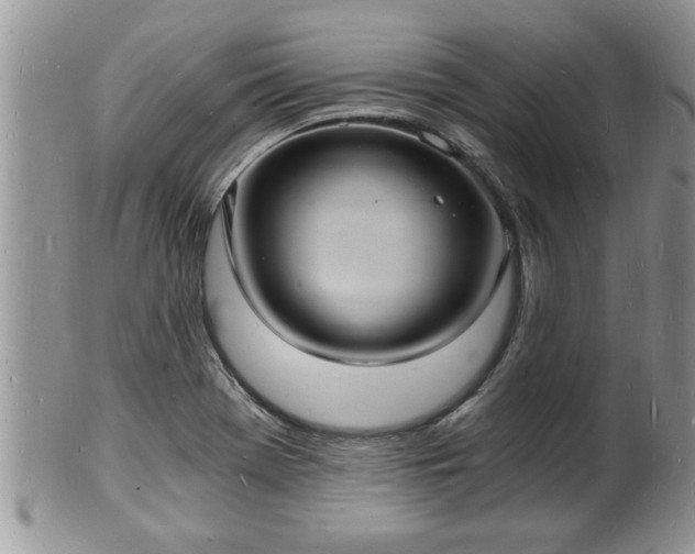 X0000102221369200808011152