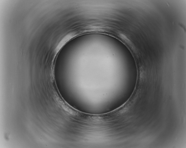 X0000102221370200808011152