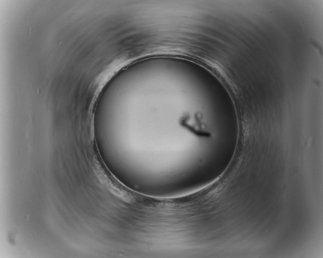 X0000102221371200808011152