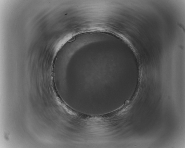 X0000102221373200808011152