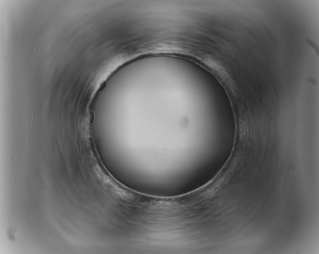 X0000102221374200808011152