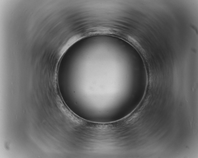 X0000102221378200808011152