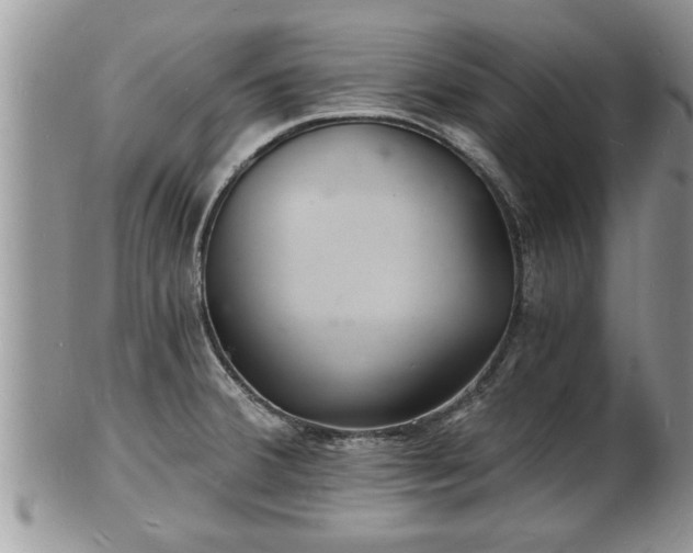 X0000102221380200808011152